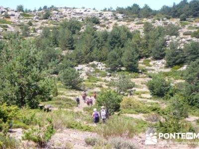 Pinar de Canencia y Mina de Plata del Indiano;asociacion de senderismo;paseos por madrid